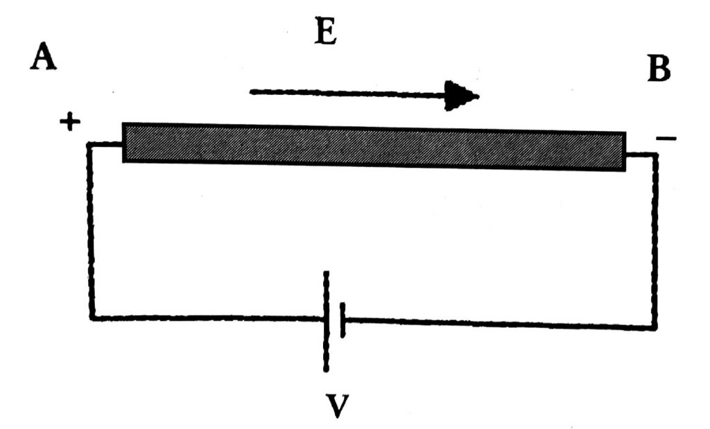 Form1