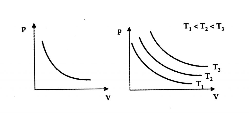 Grafico1