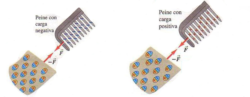 polarización+inducida